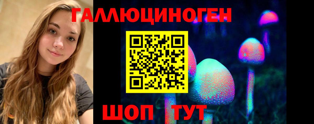 Мичуринск  Псилоцибиновые грибы ЛСД  Вход с VPN 