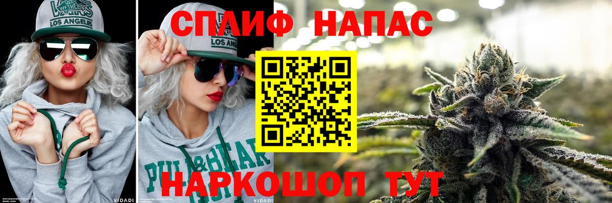 Бошки Шишки гибрид Мичуринск